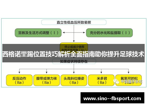西格诺里踢位置技巧解析全面指南助你提升足球技术