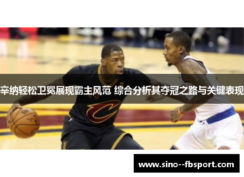 辛纳轻松卫冕展现霸主风范 综合分析其夺冠之路与关键表现